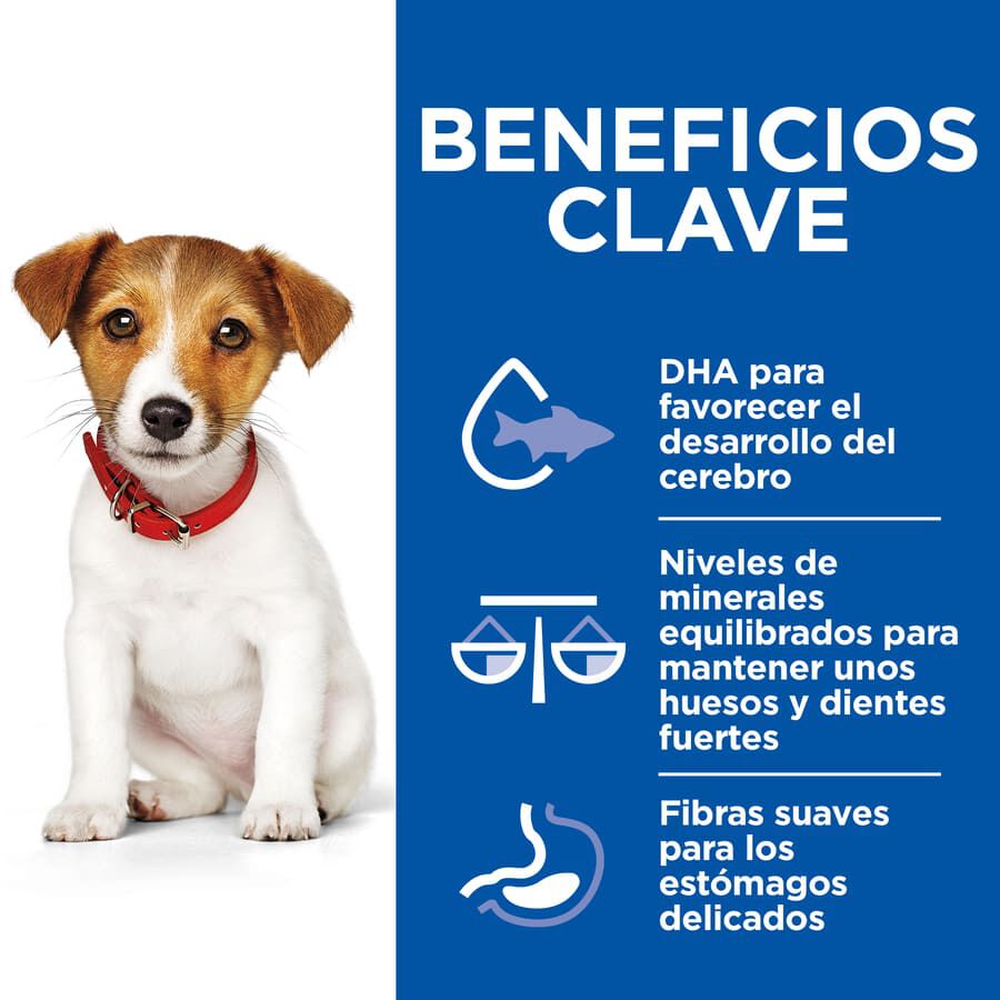 80 g Hill's Science Plan Puppy Small&Mini Estofado de Pollo y Vegetales sobre, , large Imagen numero 4